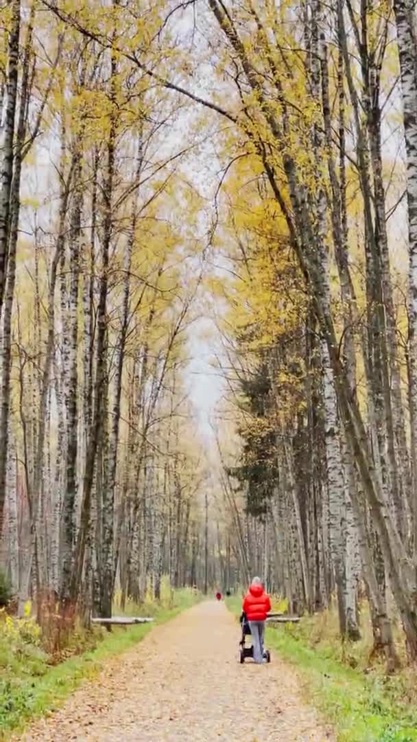 Ścieżka w jesiennym parku, żółte liście na drzewach i na ziemi, długie cienie drzew, chodzący ludzie, promienie słońca, — Wideo stockowe
