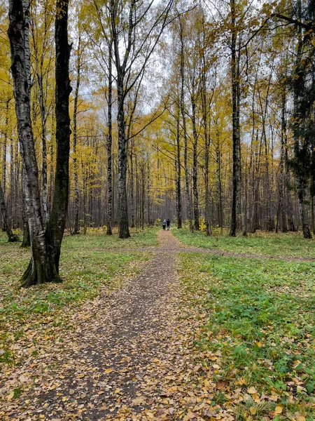 Het pad in het herfstpark, gele bladeren op bomen en op de grond, lange schaduwen van bomen, wandelende mensen, zonnestralen van de zon, — Stockfoto