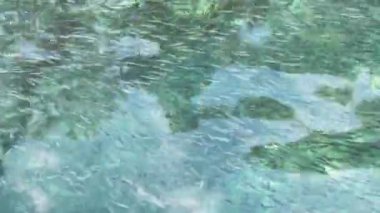 İnanılmaz güzel gök mavisi su ve birçok küçük balık, gökyüzünün su üzerindeki yansıması, denizin kayalık tabanı, güneşli hava