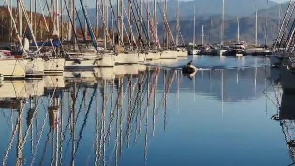 Törökország, Fethiye, 06 Október 2021: Yacht kikötő sok vitorlás reggel, sok árboc, tükröződik a nyugodt víz tiszta napsütéses időben, hegyek a horizonton — Stock videók