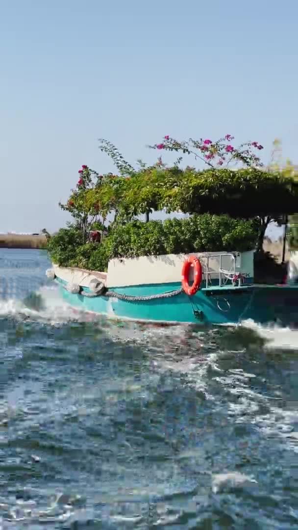 Turcja, Dalyan, 06 października 2021 r.: pionowe ujęcia łodzi pasażerskich jak letni ogród, malownicza zatoka Dalyan w Turcji, góry na tle, machająca flagą indyka — Wideo stockowe