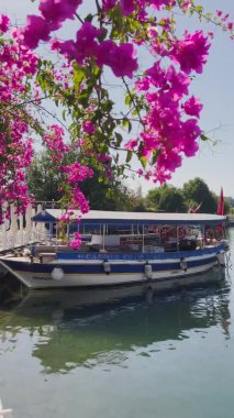 Türkiye, Dalyan, 06 Ekim 2021: Arka planda yolcu teknesinin dikey görüntüleri, Türkiye 'deki Dalyan Körfezi, ön planda kırmızı çiçekler