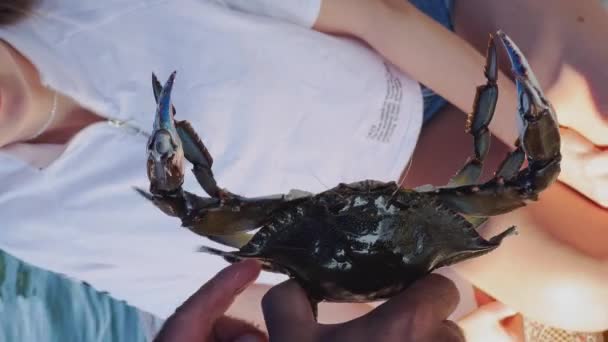 Vídeo vertical de un cangrejo azul en vivo sostenido en sus manos, el cangrejo se muestra a los turistas, de cerca — Vídeo de stock