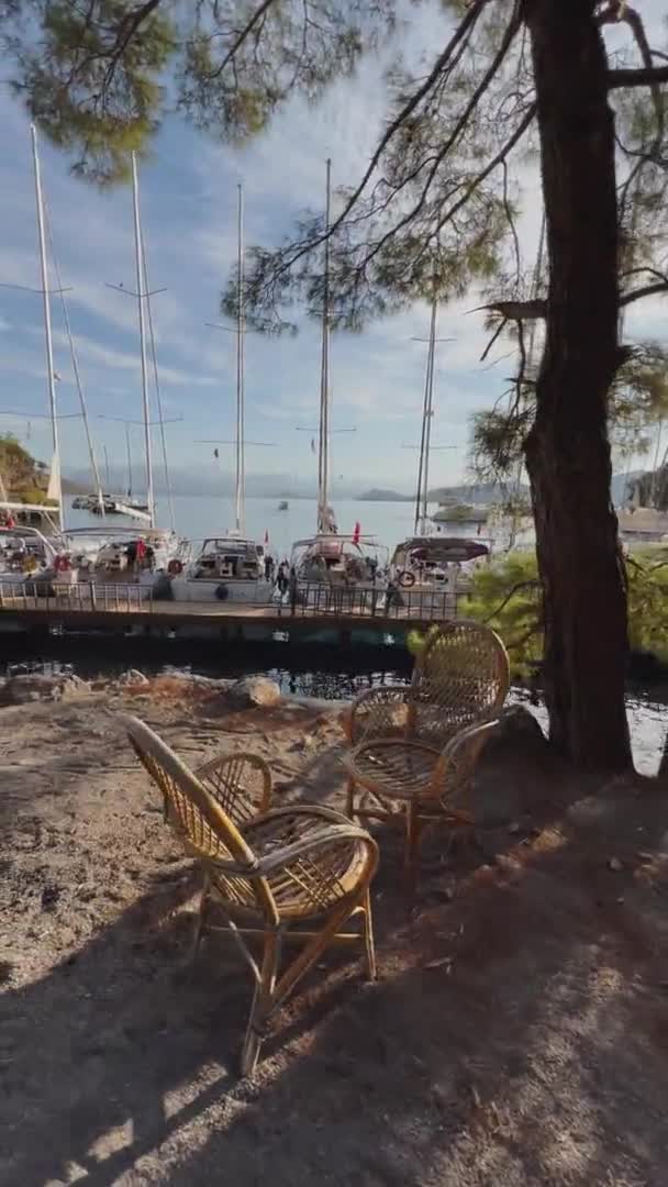 トルコ,サルサラ, 03 10月2021:セーリングレガッタの参加者は桟橋にあります,マルマリス近くの多くの島々の一つに近いサルサラの絵のような湾,多くのマスト — ストック動画
