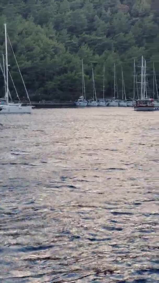 Turkije, Sarsala, 03 oktober 2021: Veel zeilboten in de pittoreske baai van het eiland bij Marmaris, deelnemers aan de zeilregatta zijn op de pier, most, bomen op de achtergrond — Stockvideo