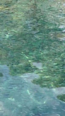 İnanılmaz güzel gök mavisi su ve bir sürü küçük balık, sudaki yelkenlinin mecburiyetinin yansıması, güneşli hava