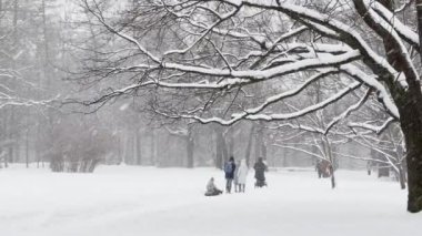 Rusya, St. Petersburg, 04 Aralık 2021: İnsanlar kar altında yürür ve doğanın tadını çıkarırlar, vahşi bir parkta yoğun kar yağışı, büyük kar taneleri yavaşça düşüyor, insanlar uzaklarda yürüyor