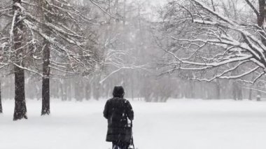 Vahşi bir parkta şiddetli kar yağışı, büyük kar taneleri yavaşça düşüyor, insanlar uzaklarda yürüyor, hala eşi benzeri görülmemiş ağaç yaprakları üzerinde kar yatıyor, kar fırtınası, kar fırtınası, hiç kimse