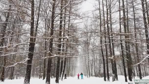 Ryssland, S:t Petersburg, 04 december 2021: Människor går under snön och njuter av naturen, Kraftigt snöfall i en vild park, stora snöflingor faller långsamt, människor går i fjärran — Stockvideo