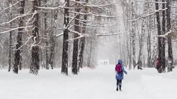 Zware sneeuwval in een wild park, grote sneeuwvlokken vallen langzaam, mensen lopen in de verte, sneeuw ligt op de nog ongeëvenaarde bladeren van bomen, sneeuwstorm, sneeuwstorm, sneeuwstorm, niemand — Stockvideo