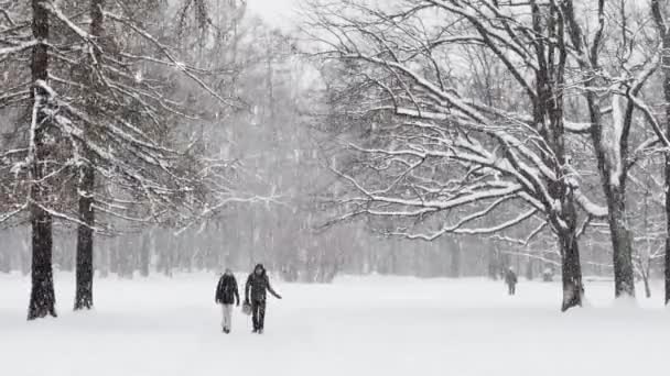 Oroszország, Szentpétervár, 2021. december 04.: Az emberek sétálnak a hóban és élvezik a természetet, Erős hóesés a vadonban, nagy hópehely lassan hullik, az emberek a távolban sétálnak — Stock videók