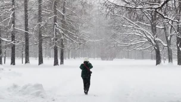Heavy snowfall in a wild park, large flakes of snow are slowly falling, people are walking in the distance, snow lies on the still unmatched leaves of trees, snow storm, blizzard, nobody — Stock Video