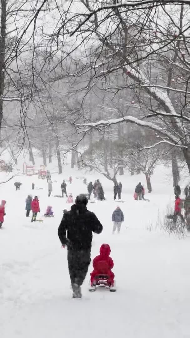 Ρωσία, Αγία Πετρούπολη, 04 Δεκεμβρίου 2021: Πολλές οικογένειες οδηγούν μια χιονοστιβάδα, παίζουν χιονόμπαλες, βαριά χιονόπτωση σε ένα άγριο πάρκο, μεγάλες νιφάδες χιονιού πέφτουν αργά, οι άνθρωποι περπατούν στο βάθος — Αρχείο Βίντεο