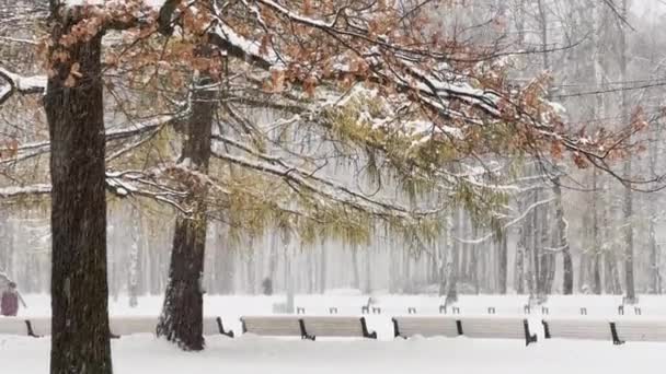 Сильный снегопад в диком парке, большие хлопья снега медленно падают, люди идут вдали, много скамеек под снегом, снег лежит на все еще непревзойденных листьев деревьев, метель — стоковое видео