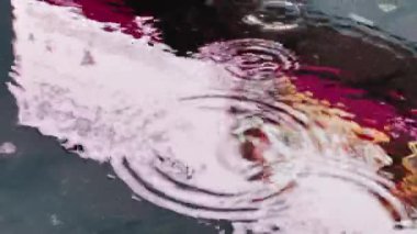 Yağmur sırasında bir su birikintisindeki reklam ekranının renk yansıması, soyut bulanık video, geçen insanların siluetleri