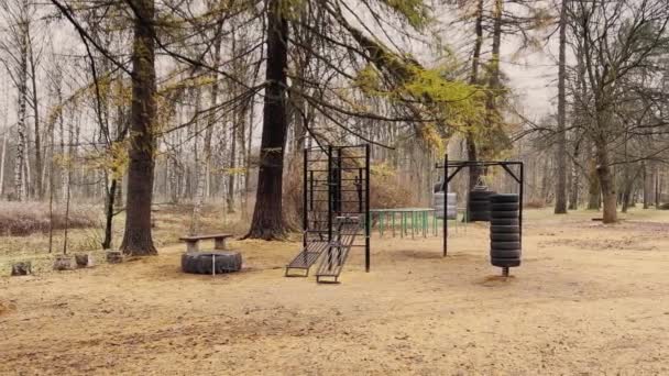 Открытая спортивная площадка в парке глубокой осенью, голые деревья и желтые листья на земле, облачная погода, никто — стоковое видео