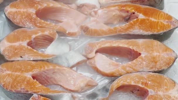 Крупный план съемки свежих кусочков лосося лежат на дробленом льду на прилавке, есть холодный пар, сочный цвет рыбы, кусочки рыбы сияют при свете — стоковое видео