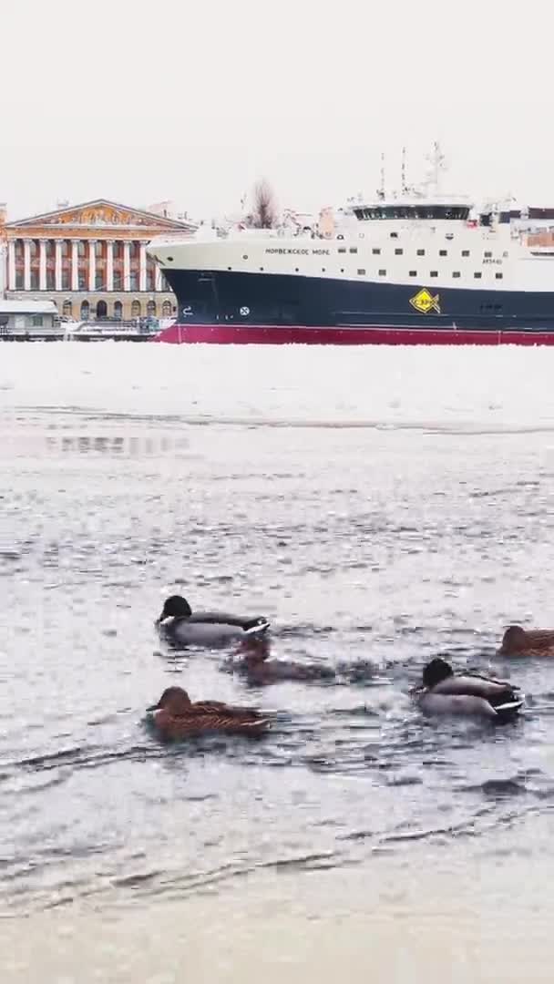 Rússia, São Petersburgo, 07 de dezembro de 2021: Imagens de câmera lenta da vista de inverno de São Petersburgo em tempo gelado, rio Neva congelado, enorme navio ancorado, — Vídeo de Stock