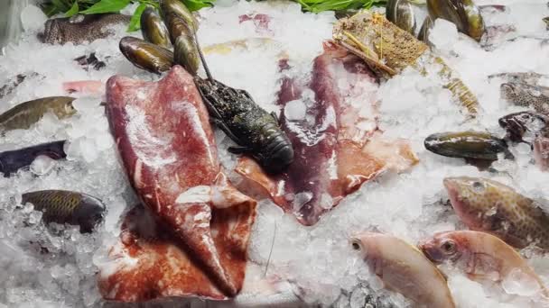 Close up footage of a variety of fresh Seafood on the counter with fine crushed ice, crabs, lobsters, different types of fish, shrimps, cuttlefish, shells, there is cold steam, shine in the light — Video Stock