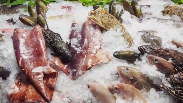 Close up footage of a variety of fresh Seafood on the counter with fine crushed ice, crabs, lobsters, different types of fish, shrimps, cuttlefish, shells, there is cold steam, shine in the light — Stockvideo