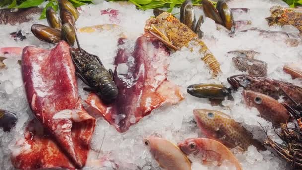 Close-up beelden van een verscheidenheid aan verse zeevruchten op de toonbank met fijn geplet ijs, krabben, kreeften, verschillende soorten vis, garnalen, inktvis, schelpen, er is koude stoom, glans in het licht — Stockvideo