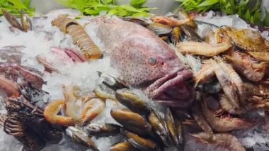 Tezgahtaki çeşitli taze deniz ürünlerinin görüntülerini kapatın. İnce buzlar, yengeçler, ıstakozlar, farklı balık türleri, karidesler, mürekkep balığı, deniz kabukları, soğuk buhar var, ışıkta parlıyorlar.