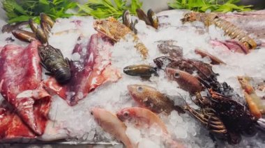Tezgahtaki çeşitli taze deniz ürünlerinin görüntülerini kapatın. İnce buzlar, yengeçler, ıstakozlar, farklı balık türleri, karidesler, mürekkep balığı, deniz kabukları, soğuk buhar var, ışıkta parlıyorlar.