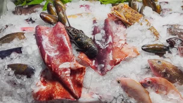 Close up footage of a variety of fresh Seafood on the counter with fine crushed ice, crabs, lobsters, different types of fish, shrimps, cuttlefish, shells, there is cold steam, shine in the light — Stockvideo