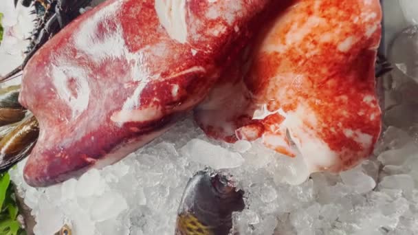 Close up footage of a variety of fresh Seafood on the counter with fine crushed ice, crabs, lobsters, different types of fish, shrimps, cuttlefish, shells, there is cold steam, shine in the light — Stockvideo