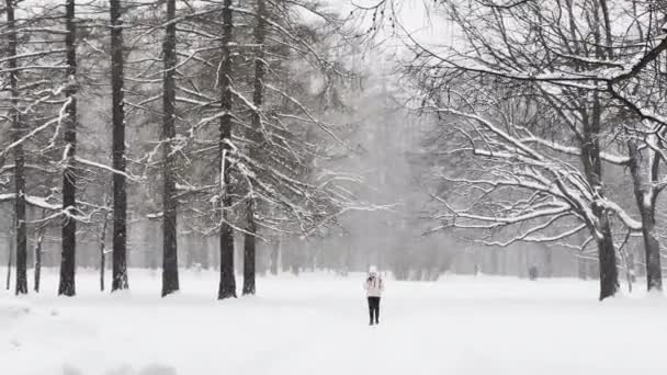 Russia, St. Petersburg, 04 December 2021: People walk during the snow and enjoy nature, Heavy snowfall in a wild park, large flakes of snow are slowly falling, people are walking in the distance — Stock Video