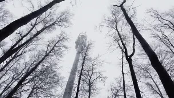 Widok z dołu na słup z repeatorami i nadajnikami komunikacji komórkowej między drzewami w mrocznym lesie w pochmurną pogodę, czarne gałęzie drzew na tle szarego nieba — Wideo stockowe