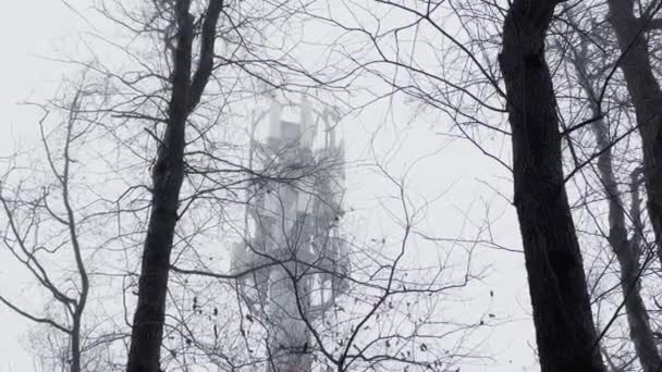 Vy underifrån på en stolpe med repeterare och sändare av cellulär kommunikation mellan träd i en dyster skog i molnigt väder, svarta grenar av träd mot bakgrund av en grå himmel — Stockvideo