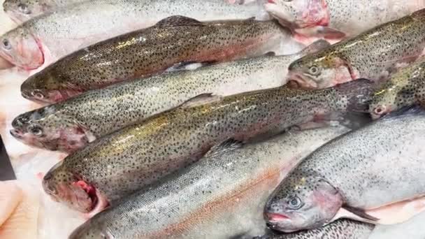 Close up footage of pieces of fresh trout lie on crushed ice on the counter, there is cold steam, juicy color of fish, pieces of fish shine in the light — Stockvideo
