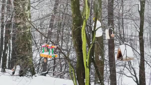 Birds sit on birdhouses and peck at something in a wild park, Heavy snowfall, large flakes of snow are slowly falling, snow lies on the still unmatched leaves of trees, snow storm, blizzard — Vídeo de Stock