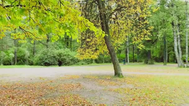 Russie, Saint-Pétersbourg, 10 octobre 2021 : Courir les femmes dans le parc d'automne, feuilles jaunes sol, personnes à pied — Video