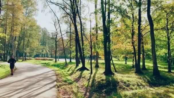 Rusland, St. Petersburg, 10 oktober 2021: Running men in het herfstpark bij zonsondergang, gele bladeren grond, wandelende mensen — Stockvideo