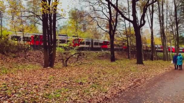 Россия, Санкт-Петербург, 10 октября 2021 года: Пассажирский электропоезд идет возле осеннего парка, поезд РЖД, гуляющие люди — стоковое видео
