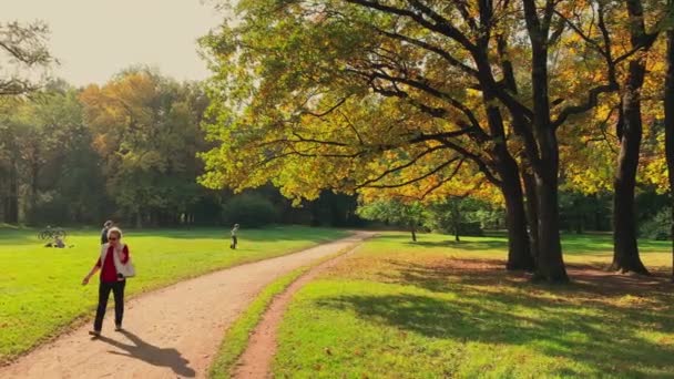 Russland, St. Petersburg, 10. Oktober 2021: Kinder spielen auf einer grünen Wiese im Park, Eltern kümmern sich um Kinder im Herbstpark bei Sonnenuntergang, gelbe Blätter, Spaziergänger — Stockvideo