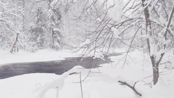 Дика заморожена річка в зимовому лісі на сніговій бурі, дика природа, лід, засніжене дерево, спокій і тиша — стокове відео