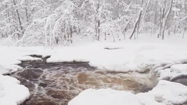 The wild frozen small river in the winter wood, the wild nature at snow storm, the river of red color, ice, snow-covered trees — Stockvideo