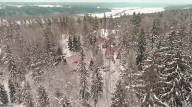 Drone flies over the houses in the winter forest on a frosty cloudy day, the houses are located among the fir trees covered with snow, the frozen lake in the background, roofs of the houses are red