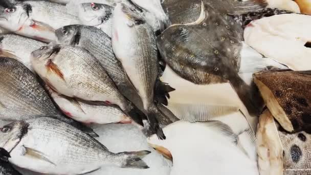 Close up footage of pieces of fresh trout lie on crushed ice on the counter, there is cold steam, juicy color of fish, pieces of fish shine in the light — Stock Video