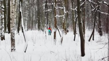 People are walking in snow covered park, The woman goes on skis, The massif from a trunk of trees going to perspective, trunks of birch