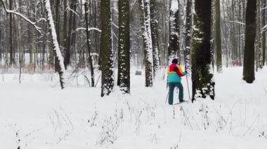 People are walking in snow covered park, The woman goes on skis, The massif from a trunk of trees going to perspective, trunks of birch