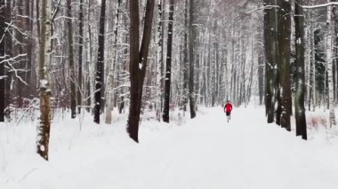 Kırmızı kazaklı bir adam kar fırtınasında bir gece parkında koşuyor. Kar parkın sokak ışıklarıyla aydınlanıyor. Siyah ağaç dalları.