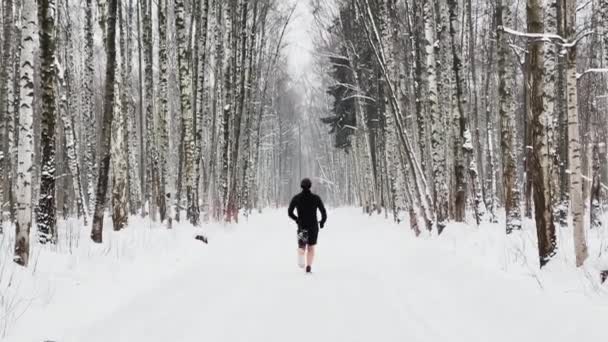 A man in a black sweatshirt runs in a night park in a snow storm, snow illuminated by the street lighting of the park, black tree branches — Stock Video