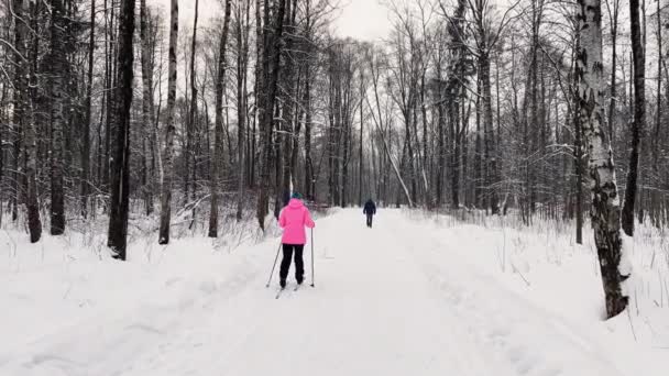 People are walking in snow covered park, The woman goes on skis, The massif from a trunk of trees going to perspective, trunks of birch — Wideo stockowe