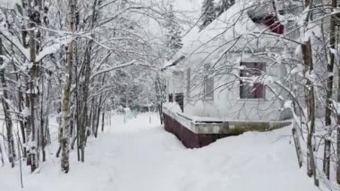 A path by a lonely hut in a snow-covered forest on a winter frosty day, it snows and lies on a tree branch