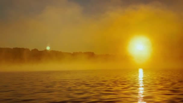 Calm water through the morning fog above the water at sunrise, the golden color of the water, warm water and cold air, magic light — Stockvideo