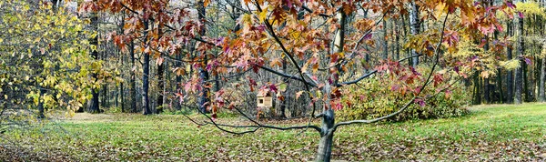 A birdhouse on trees with leaves of red color in public park in autumn at cloudy day, trees with golden leaves, green grass, panorama of a park, blue sky, Buds of trees, Trunks of birches — Fotografia de Stock